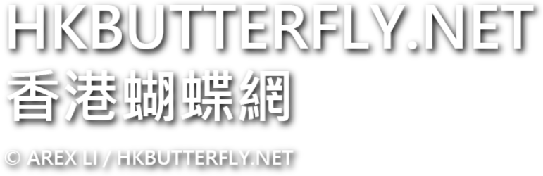 香港蝴蝶網 HKBUTTERFLY.NET